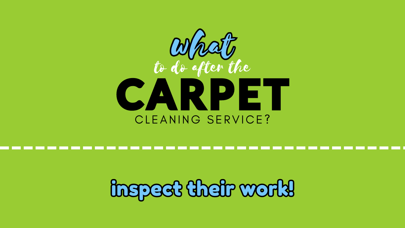 What to do after the carper cleaning service?